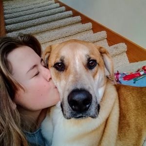 Meet your Posher, Alayna